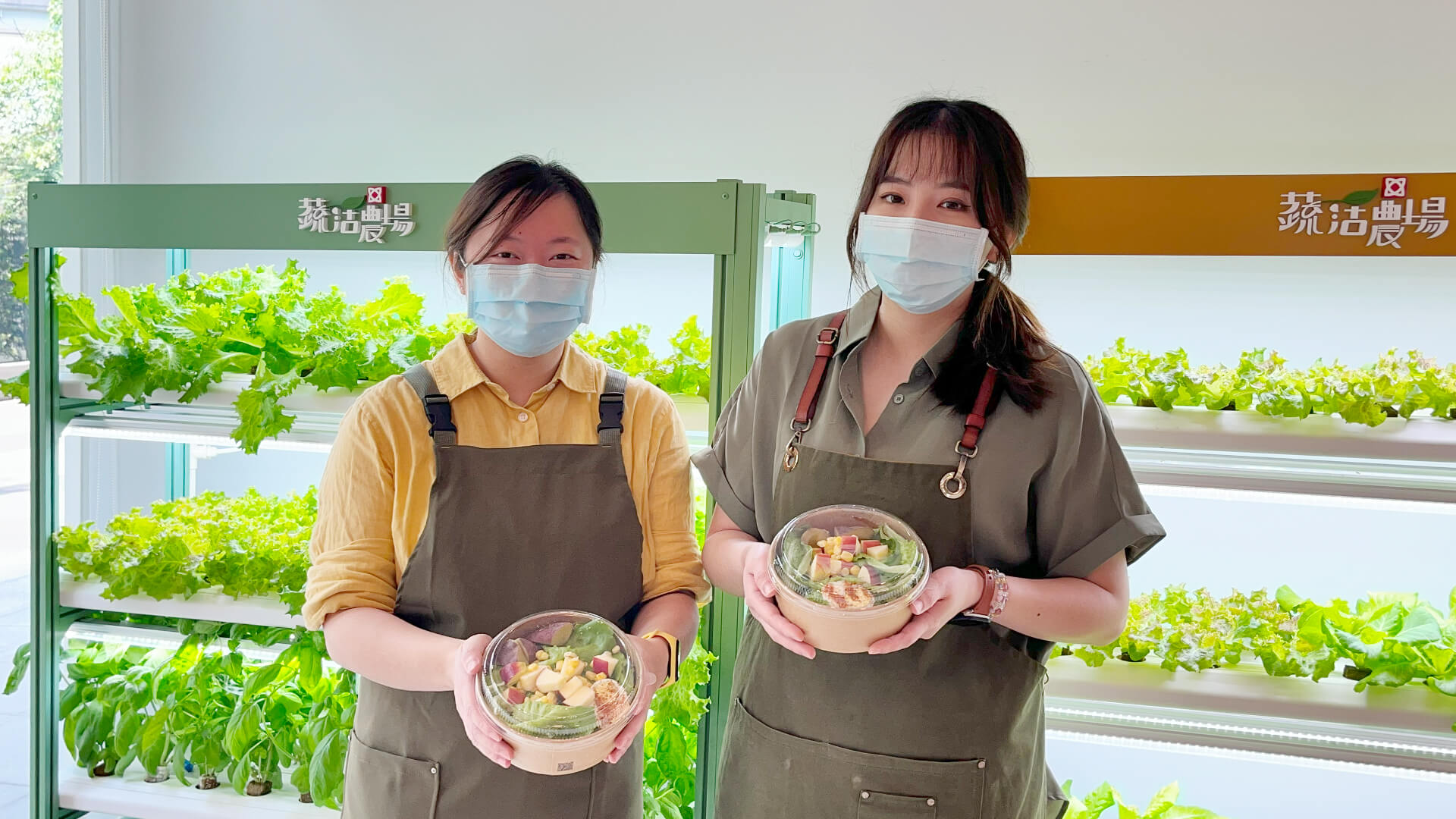两名员工端室内水耕蔬食沙拉